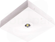 STARLET QUAD SQ 250 NM 1H AT biała optyka otwarta Oprawa awaryjna