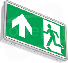 ORTUS-W WH E1/ST LO SIGN Oprawa awaryjna