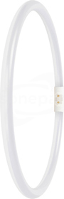 LED T5 FC40/55 EXT P 21.5W 840 2GX13 3200lm Tuba LED kołowa 300mm (D)