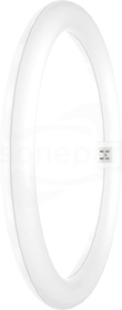 SubstiTUBE T9 C 32 EM 18.3W/840 G10q 2200lm Świetlówka  LED kołowa (E)