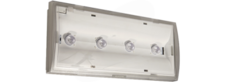 MONITOR1-S IP65 GR 650 E1/ST WB Oprawa awaryjna