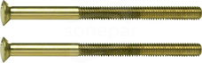 Berker TS M3,5 x 50mm złoty Śruba z dwoma otworami