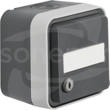 W.1 szary IP55 Gniazdo SCHUKO na klucz