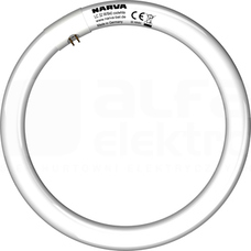LC 32W/840 G10q Świetlówka T9 kołowa