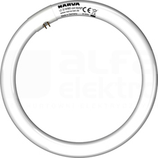 LC 32W/865 G10q Świetlówka T9 kołowa