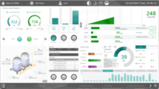 EOTE  Web Viewer Runtime 10 licencji E Oprogramowanie