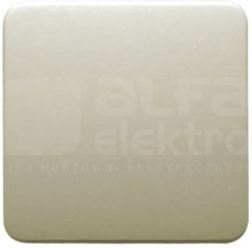 MODUL/PLUS kremowy Klawisz 1x