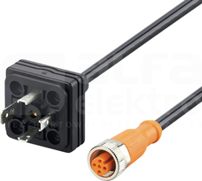 PLUG M12 - DIN VALVE FORM A Przewód łączeniowy