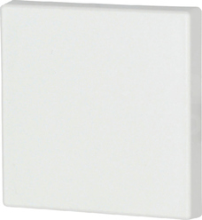 CWIZ-01/01 biały Klawisz pojed.55x55mm