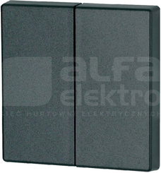 CWIZ-02/04 antracyt Klawisz podw.55x55mm