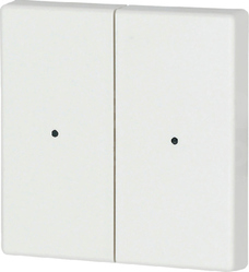 CWIZ-02/01-LED biały Klawisz podwójny 55x55mm