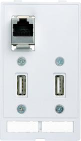 MODLINK MSDD RJ45+2xUSB F/F Moduł złącza danych
