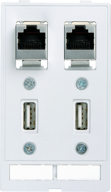 MODLINK MSDD 2xUSB+2xRJ45 Moduł złącza danych