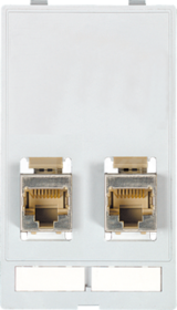 MODLINK MSDD 2×RJ45 Moduł złącza danych
