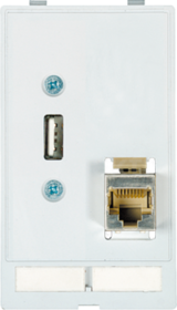 MODLINK MSDD RJ45+USB-A F/F Moduł złącza danych