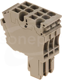 ZP 2.5/2AN/QV/3 Wtyczka