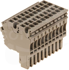 ZP 2.5/2AN/QV/10 Wtyczka