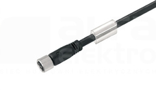 SAIL-M8BG-3-1,5V Wtyk z kablem prosty żeński