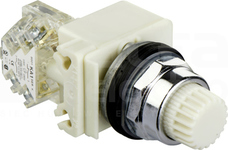 9001K2L35WH13 30mm PRZYCISK PODŚWIETLANY