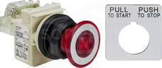 9001SKR9P1RH13 120VAC 30mm SK +opcje Przycisk
