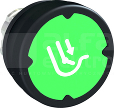 HARSH zielony Przycisk z piktogramem