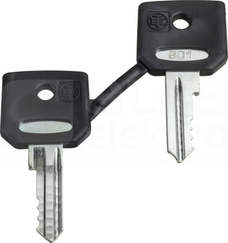 ZBD8D1*DLON.WYL.BEZPIECZ., P KOMPLET 2KLUCZY NR 8D1 DO