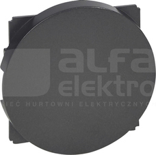 CELIANE grafitowy Zaślepka
