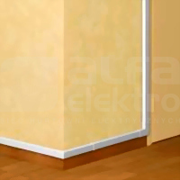 DLPLUS 20x12,5 Listwa z przegrodą