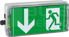 EXIT N 1xM20 Oprawa ewakuacyjna LED