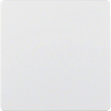 S.1/B.1/B.3/B.7 GLAS śnieżnobiały Płytka centr.przyłącza czujników