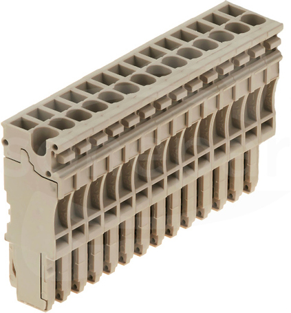 ZP 2.5/1AN/14 Wtyczka