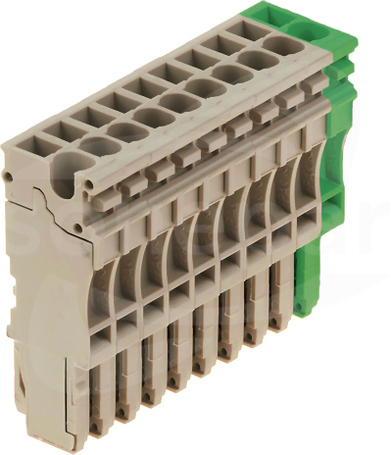 ZP 2.5/1AN/10 GN/BE Wtyczka