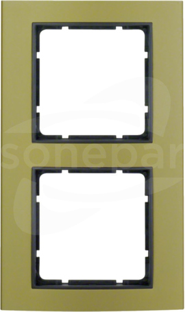 B.3 aluminium/złoty/antracyt Ramka 2-krotna
