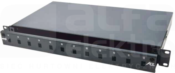 19cali 1U front 12xSC duplex Panel