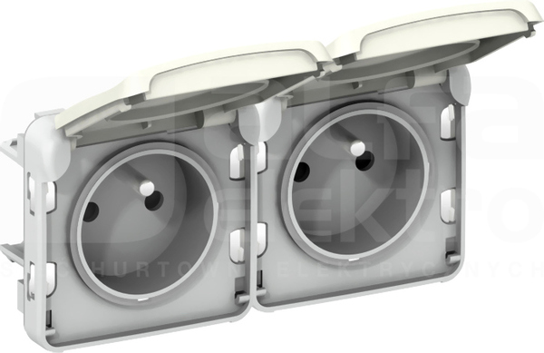 PLEXO55 2x2P+Z IP55 biały Mechanizm gniazda pionowy