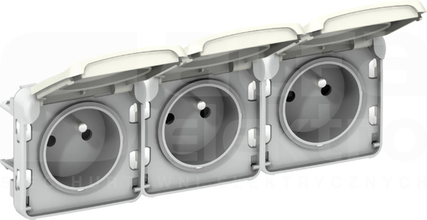 PLEXO55 3x2P+Z IP55 biały Mechanizm gniazda poziomy