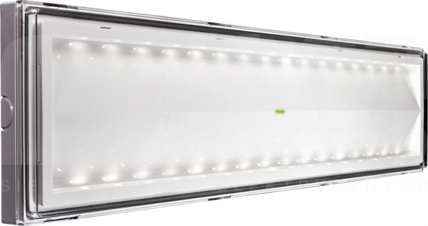 TICINQUE 18W SE 8h 213lm IP65 Oprawa LED awaryjna