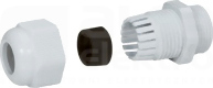 PG36 RAL7035 IP55 Dławnica