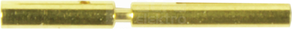 M12 0,13-0,25mm2 Wtyk żeński