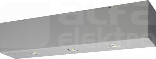 INFINITY APO LED IP44 3x1W OTW.2h SE AT szary Oprawa awaryjna 1-zadaniowa autotest