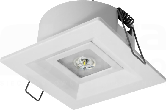 LOVATO P LED 1W OTW.2h SE biały Oprawa awaryjna 1-zadaniowa