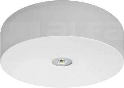 AXN IP65 6W 1h SA/SE RU opt.otwarta Oprawa awaryjna 2-zadaniowa sys.monitoringu
