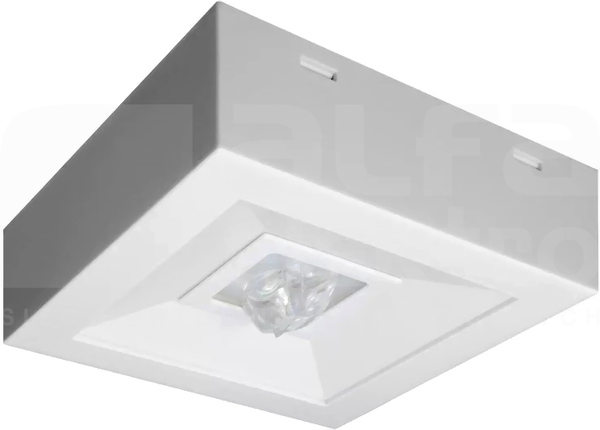 LOVATO N ECO LED 2W 1h IP41 (opt. koryt.) AT biały Oprawa awaryjna 1-zadaniowa