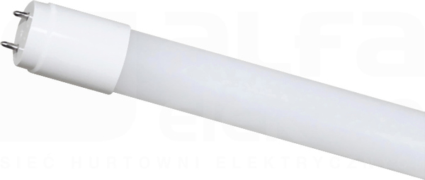 ORO T8 60 BASIC III 9W/865 900lm Tuba LED 0,6m (F)