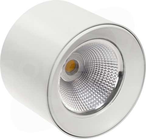 CEL ZOSMA 3 ROUND 830 19W 230V 40st White DALI Downlight LED nastropowy