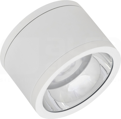 DL SURFACE DN 160 P 30W 840 60D IP65 U19 WT 3300lm Downlight LED