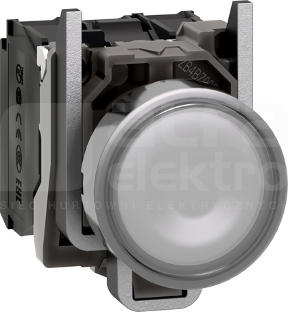 XB4BW31G5 KRYTY GUZIK N/O+N/ BIAŁY Przyc.podśw.z samo.powr.LED