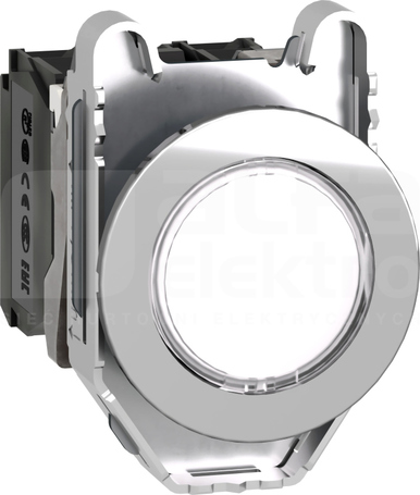 XB4FW31G5 biały PRZYCISK