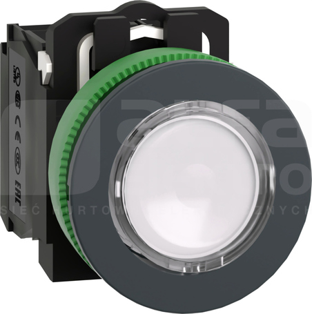 XB5FW31M5 fi30 230V 1NO+1NC biały Przycisk płaski podświetlany LED