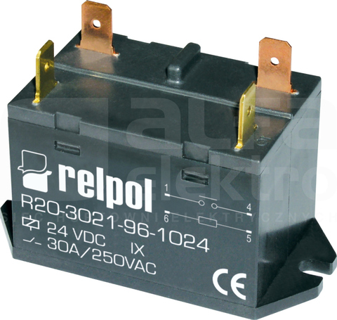 R20-3021-96-1024 1Z 24VDC IP50 Przekaźnik przemysłowy